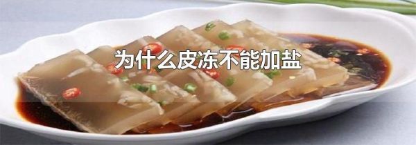 为什么皮冻不能加盐