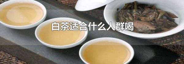 白茶适合什么人群喝