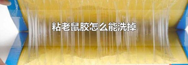 粘老鼠胶怎么能洗掉