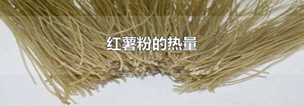 红薯粉的热量