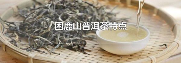 困鹿山普洱茶特点