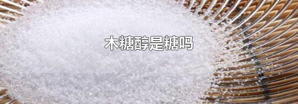 木糖醇是糖吗