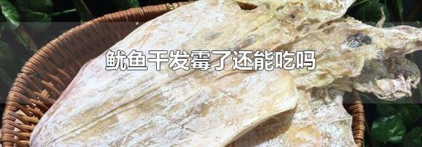 鱿鱼干发霉了还能吃吗