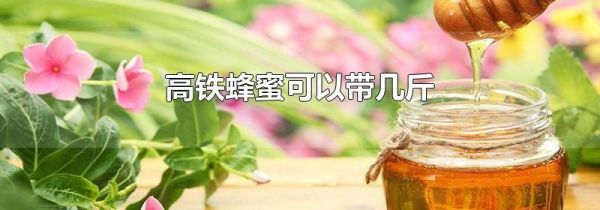 高铁蜂蜜可以带几斤