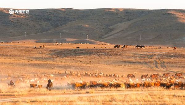 古尔邦节有什么习俗 古尔邦节的风俗