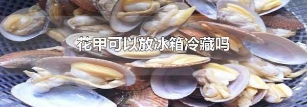 花甲可以放冰箱冷藏吗
