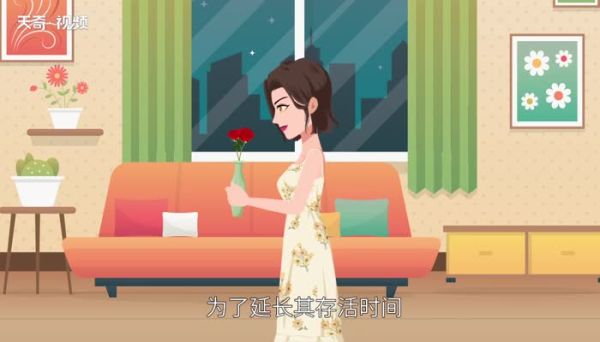 玫瑰怎么醒花,要放多少水 玫瑰怎么醒花方法