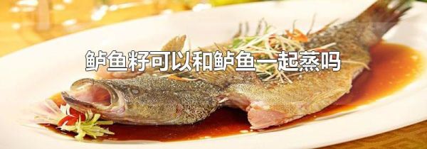 鲈鱼籽可以和鲈鱼一起蒸吗