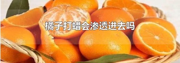 橘子打蜡会渗透进去吗