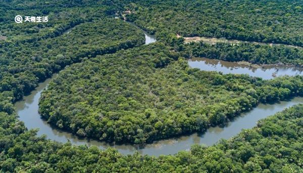 亚马逊河流域经过几个国家 亚马逊河经过哪些城市