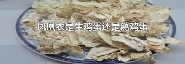 凤凰衣是生鸡蛋还是熟鸡蛋