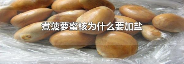 煮菠萝蜜核为什么要加盐