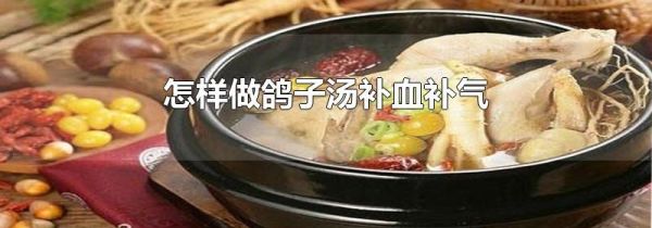 怎样做鸽子汤补血补气