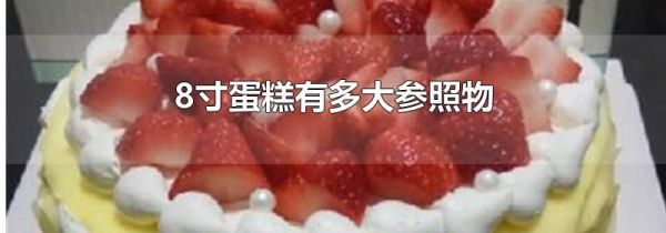 8寸蛋糕有多大参照物