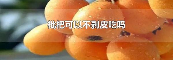 枇杷可以不剥皮吃吗