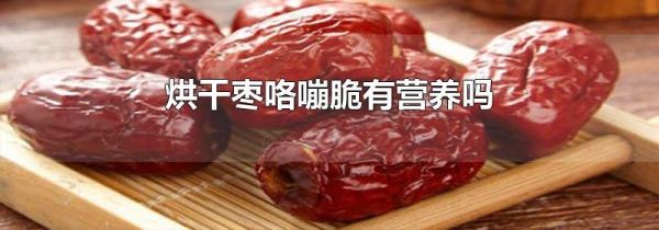 烘干枣咯嘣脆有营养吗