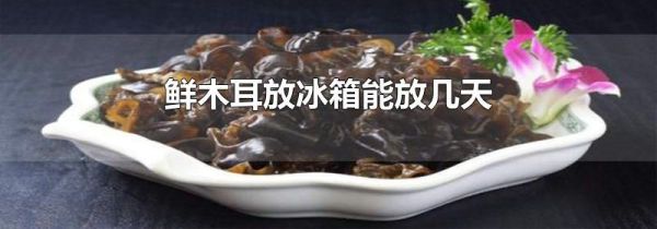 鲜木耳放冰箱能放几天