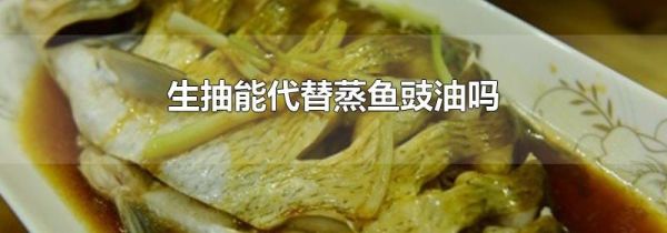 生抽能代替蒸鱼豉油吗