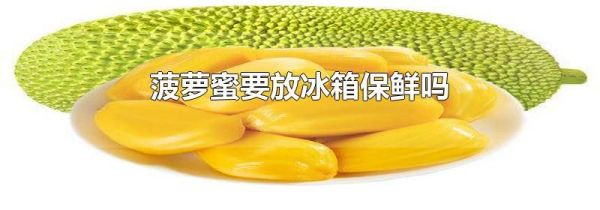 菠萝蜜要放冰箱保鲜吗