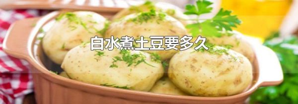 白水煮土豆要多久
