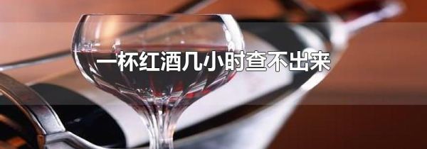 一杯红酒几小时查不出来