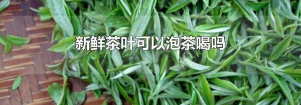 新鲜茶叶可以泡茶喝吗