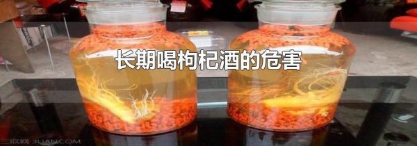 长期喝枸杞酒的危害