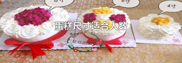 蛋糕尺寸适合人数