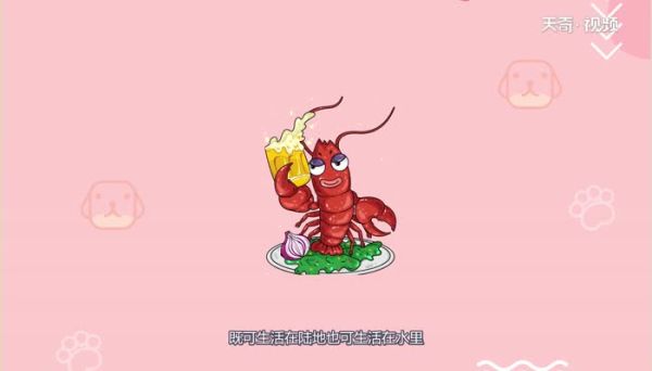 小龙虾在水里会淹死吗  小龙虾会淹死在水里吗