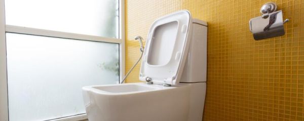 厕所马桶堵了怎么办 马桶堵了怎么解决