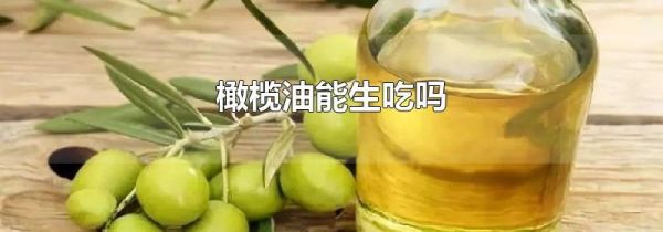 橄榄油能生吃吗
