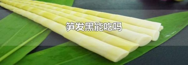 笋发黑能吃吗