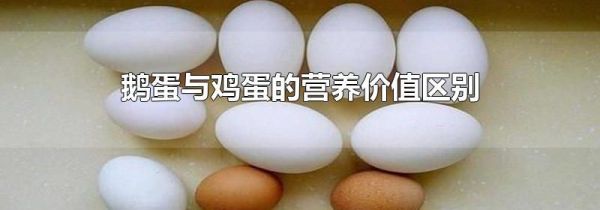 鹅蛋与鸡蛋的营养价值区别