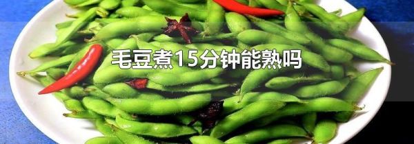 毛豆煮15分钟能熟吗