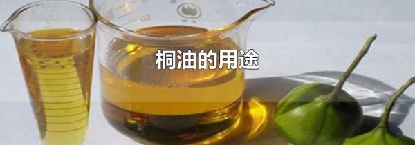 桐油的用途