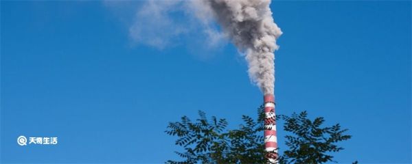 碳中和是什么意思 碳中和的意思