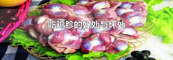 吃鸡胗的好处与坏处