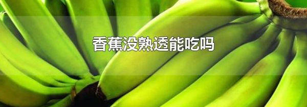 香蕉没熟透能吃吗