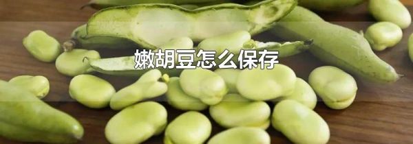 嫩胡豆怎么保存