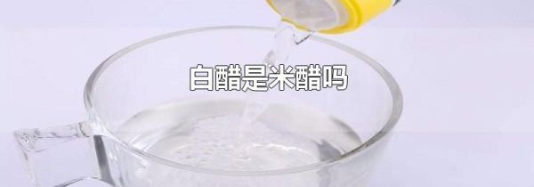 白醋是米醋吗