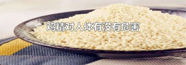 鸡精对人体有没有危害