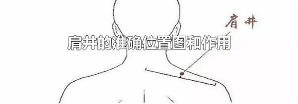 肩井的准确位置图和作用