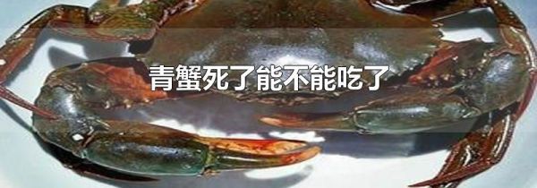 青蟹死了能不能吃了
