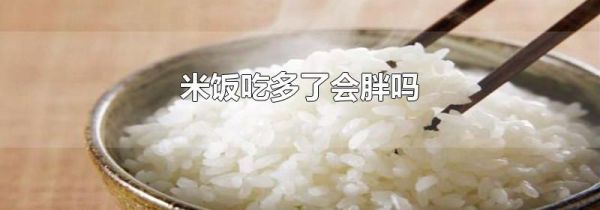 米饭吃多了会胖吗