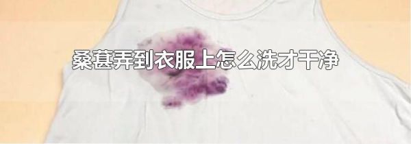 桑葚弄到衣服上怎么洗才干净