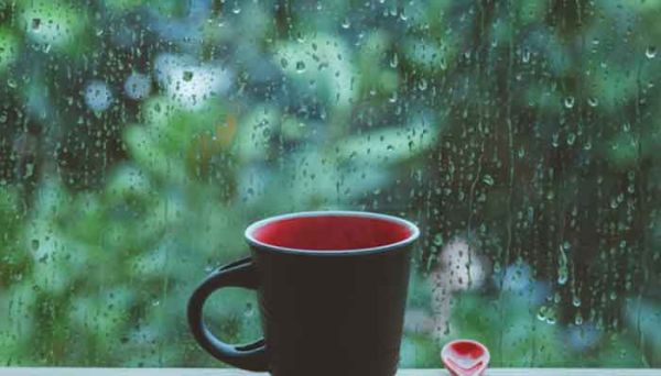 梅雨的危害 梅雨的危害有哪些