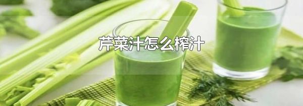 芹菜汁怎么榨汁