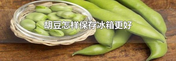 胡豆怎样保存冰箱更好