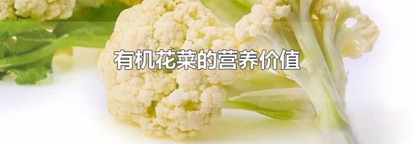 有机花菜的营养价值