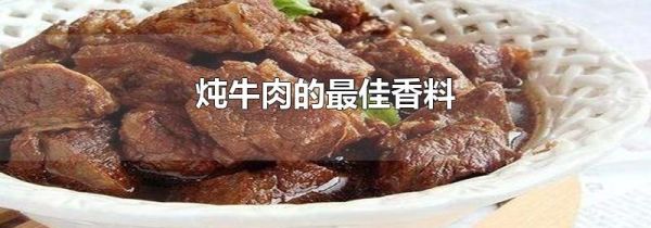 炖牛肉的最佳香料